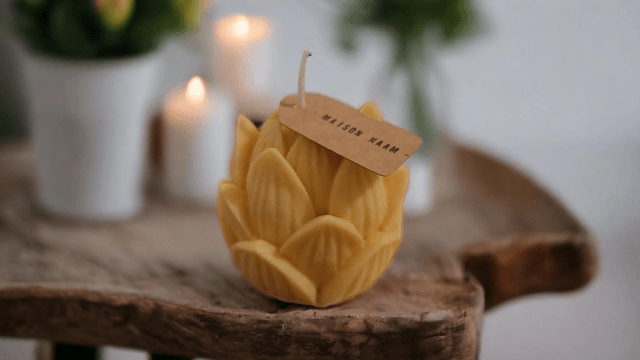 Fleur de Lotus 