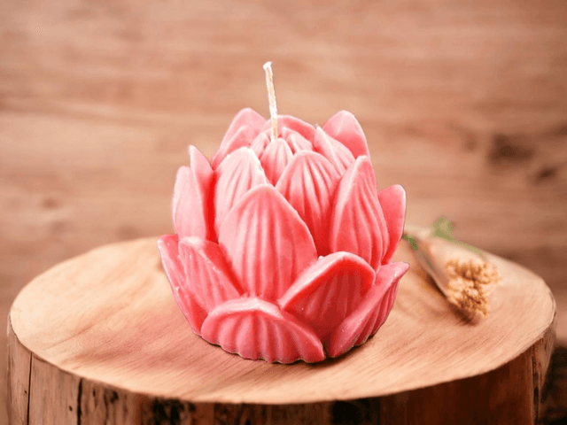 Fleur de Lotus 